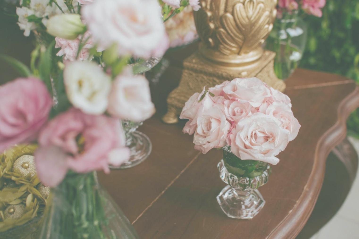 Professional plant health assessment in progress